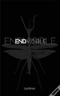 Capa do artigo Endvisible
