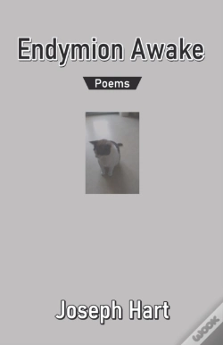 Capa do artigo Endymion Awake