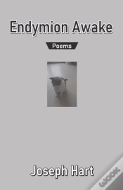 Capa do artigo Endymion Awake