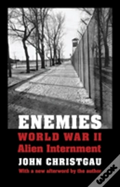 Capa do artigo Enemies