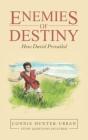 Enemies Of Destiny - Preview