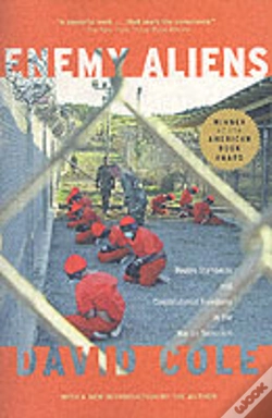 Capa do artigo Enemy Aliens