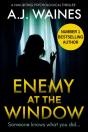 Enemy At The Window - Preview