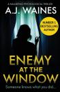 Enemy At The Window - Preview
