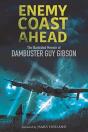 Enemy Coast Ahead - Preview