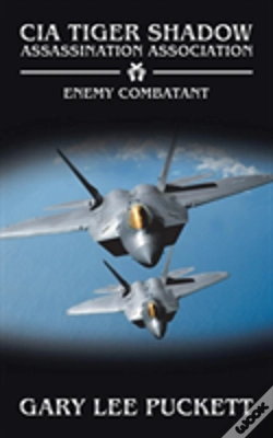 Capa do artigo Enemy Combatant