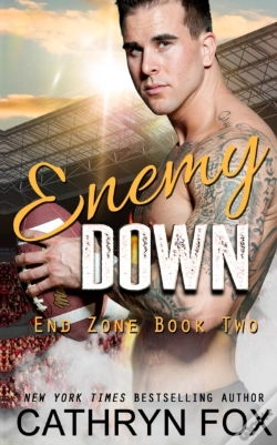 Capa do artigo Enemy Down