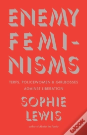 Capa do artigo Enemy Feminisms