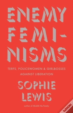 Capa do artigo Enemy Feminisms