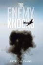 Enemy Knocks - Preview