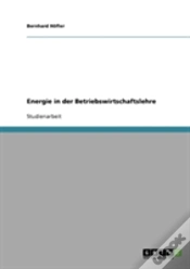 Capa do artigo Energie In Der Betriebswirtschaftslehre