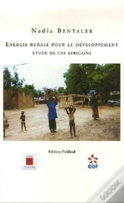 Capa do artigo Energie Rurale Pour Le Developpement. Etude De Cas Africains