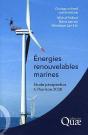 Énergies Renouvelables Marines ; Étude Prospective À L'Horizon 2030 - Preview