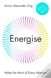 Capa do artigo Energize