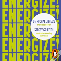Capa do artigo Energize!