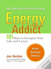 Capa do artigo Energy Addict