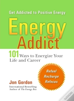 Capa do artigo Energy Addict