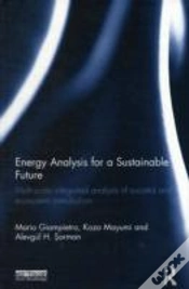 Capa do artigo Energy Analysis For A Sustainable Future