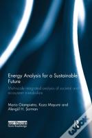 Energy Analysis For A Sustainable Future