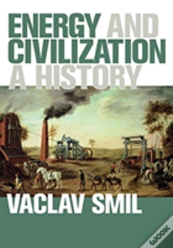Capa do artigo Energy And Civilization
