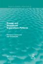 Energy And Household Expenditure Patterns - Preview