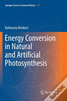 Energy Conversion In Natural And Artificial Photosynthesis