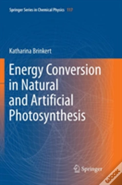 Capa do artigo Energy Conversion In Natural And Artificial Photosynthesis