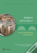 Energy Efficiency