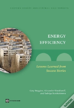 Capa do artigo Energy Efficiency