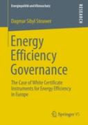 Energy Efficiency Governance