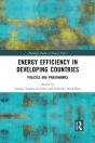 Energy Efficiency In Developing Countries - Preview