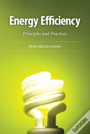 Capa do artigo Energy Efficiency