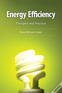 Capa do artigo Energy Efficiency