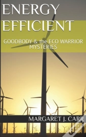 Energy Efficient