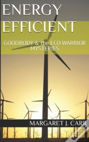 Capa do artigo Energy Efficient