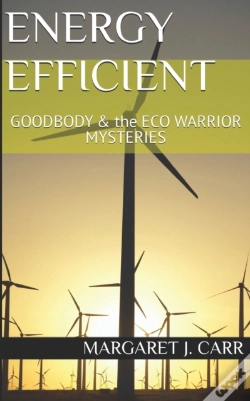 Capa do artigo Energy Efficient