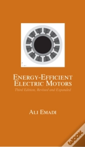 Energy-Efficient Electric Motors, Revised And Expanded