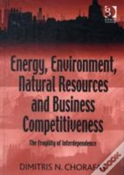 Capa do artigo Energy, Environment, Natural Resources And Business Competitiveness