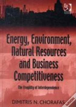 Capa do artigo Energy, Environment, Natural Resources And Business Competitiveness