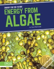 Capa do artigo Energy From Algae