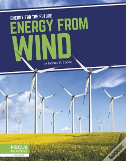 Capa do artigo Energy From Wind
