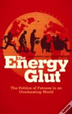 Capa do artigo Energy Glut