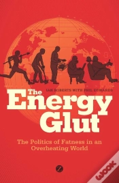 Capa do artigo Energy Glut