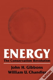 Capa do artigo Energy