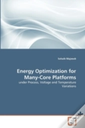 Energy Optimization For Many-Core Platforms