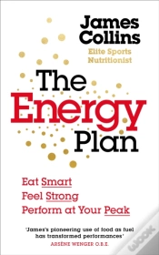 Capa do artigo Energy Plan