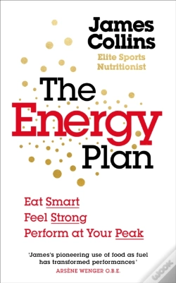 Capa do artigo Energy Plan