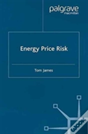 Capa do artigo Energy Price Risk