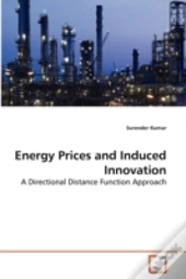 Energy Prices And Induced Innovation