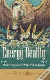 Energy Reality